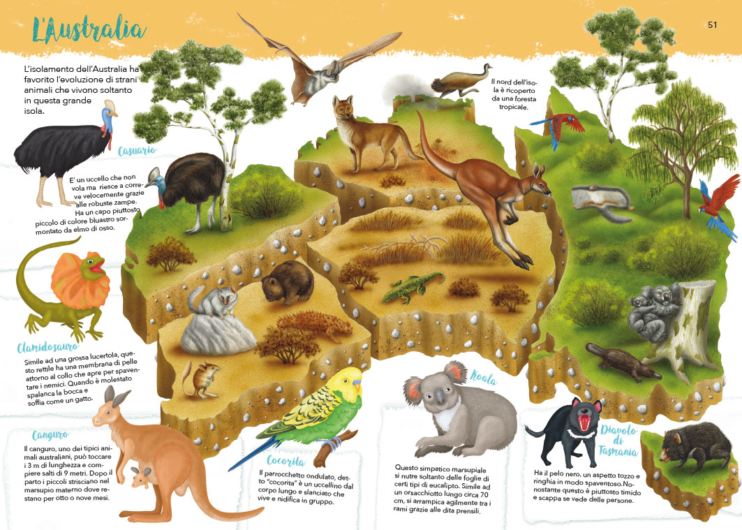 Animal Habitats – Ant's Books Packager